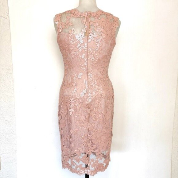 Tadashi Shoji Mauve Pink Lace/Sequin Sheath Dress Size 0 P - Picture 3 of 12